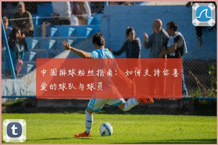 中国排球粉丝指南：如何支持你喜爱的球队与球员