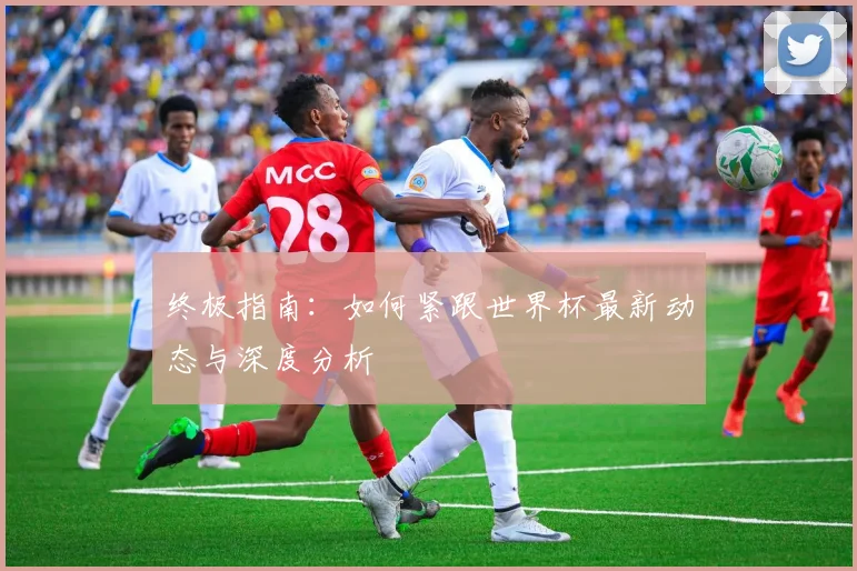 终极指南：如何紧跟世界杯最新动态与深度分析